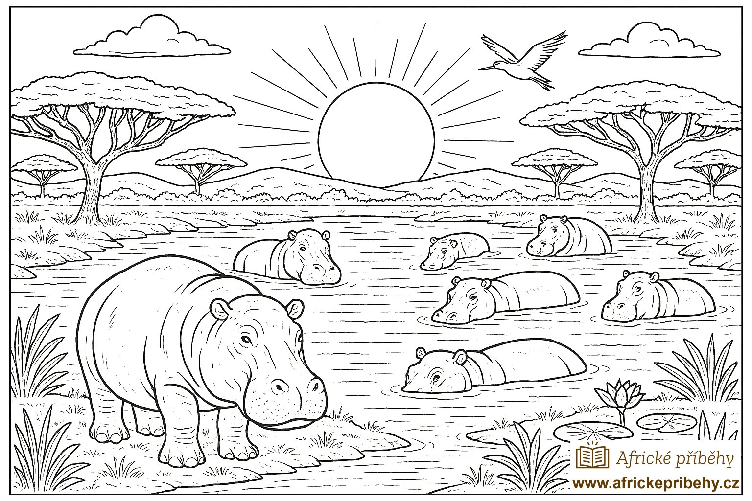 Omalovánka_04-hroši