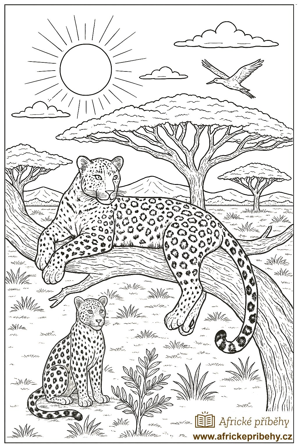 Omalovánka_05-levhart